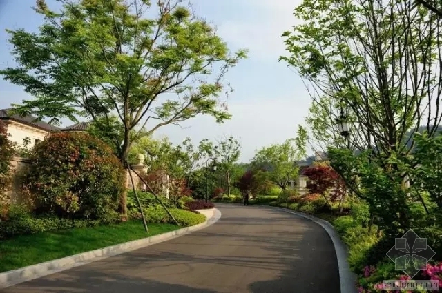 花卉主题道路景观设计资料下载-道路绿化设计规范大全，不得不看！