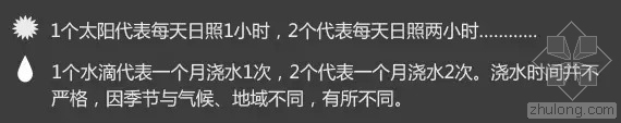 安徽植物配置表资料下载-上百种多肉植物养护对照表，不能错过的干货！