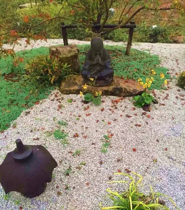 日本枯山水庭园大量种植苔藓, 营造出无尽禅意.