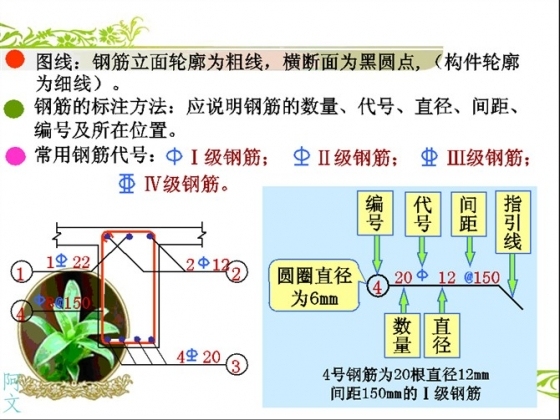 10分钟快速读懂钢筋配筋图,就这么任性！-5.jpg