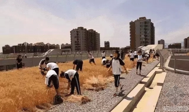 宿舍外空间的设计资料下载-这所学校凭什么引起设计界的关注？