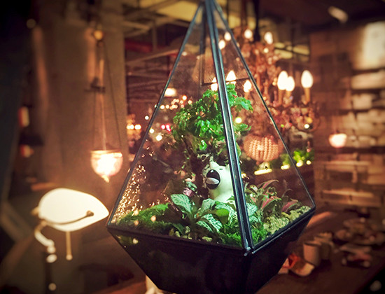 [分享]微景观大世界