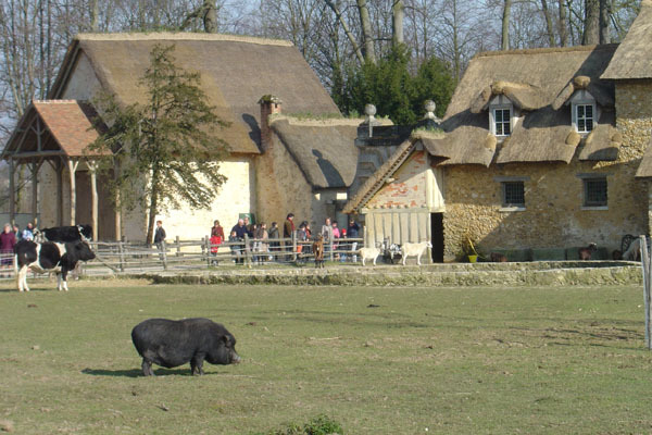 -小特里阿农别馆(L‘Hameau)第22张图片