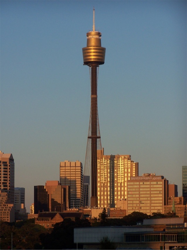 瞭望塔模型资料下载-雪梨塔(Sydney Tower)或AMP瞭望塔(AMP Tower)