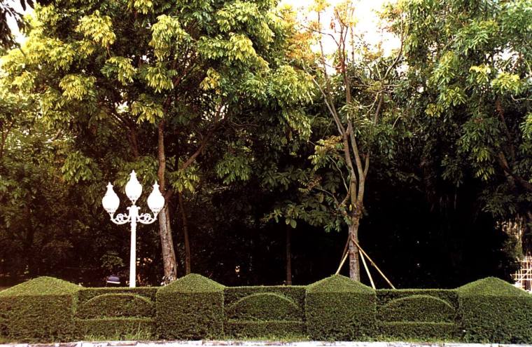 绿篱雕塑资料下载-独具雕塑感的绿篱