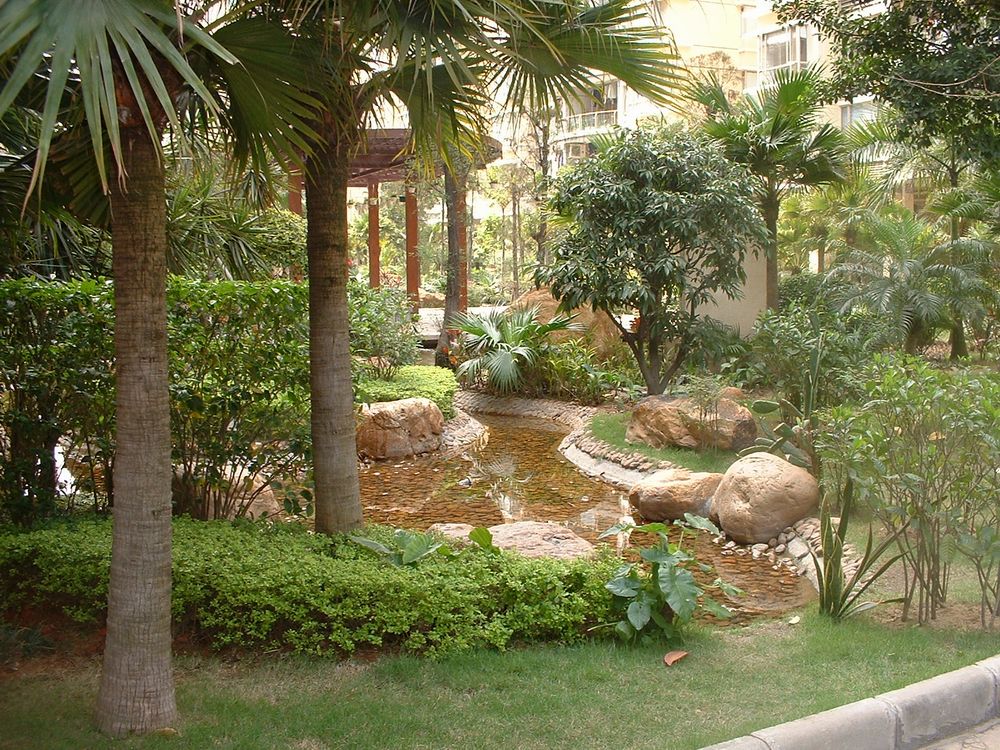 叠彩园园林环境