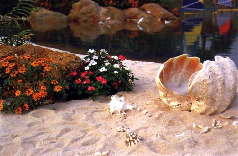 海螺su模型资料下载-海螺与鲜花
