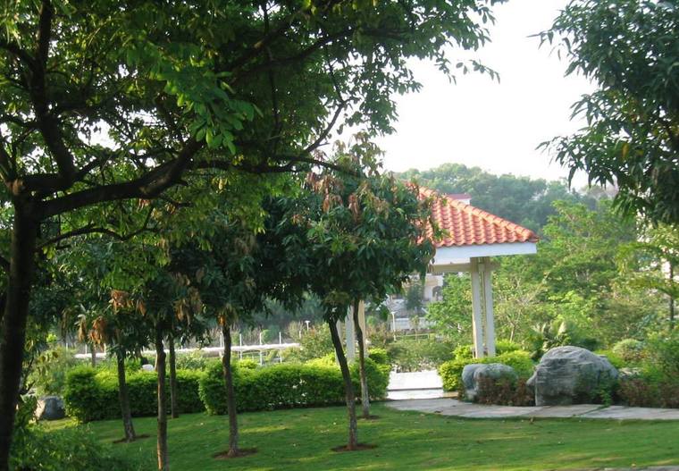 校园局部手绘图片资料下载-世纪广场局部