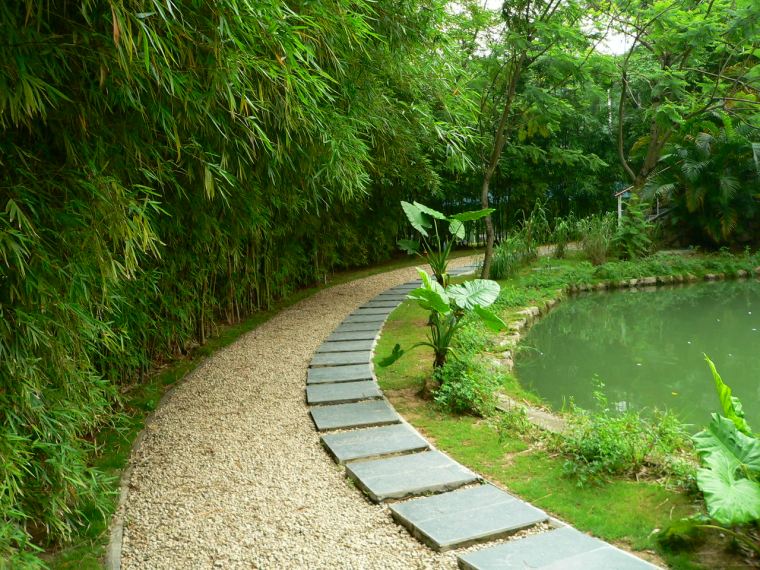 生态广场su资料下载-深圳华侨城生态广场水景2