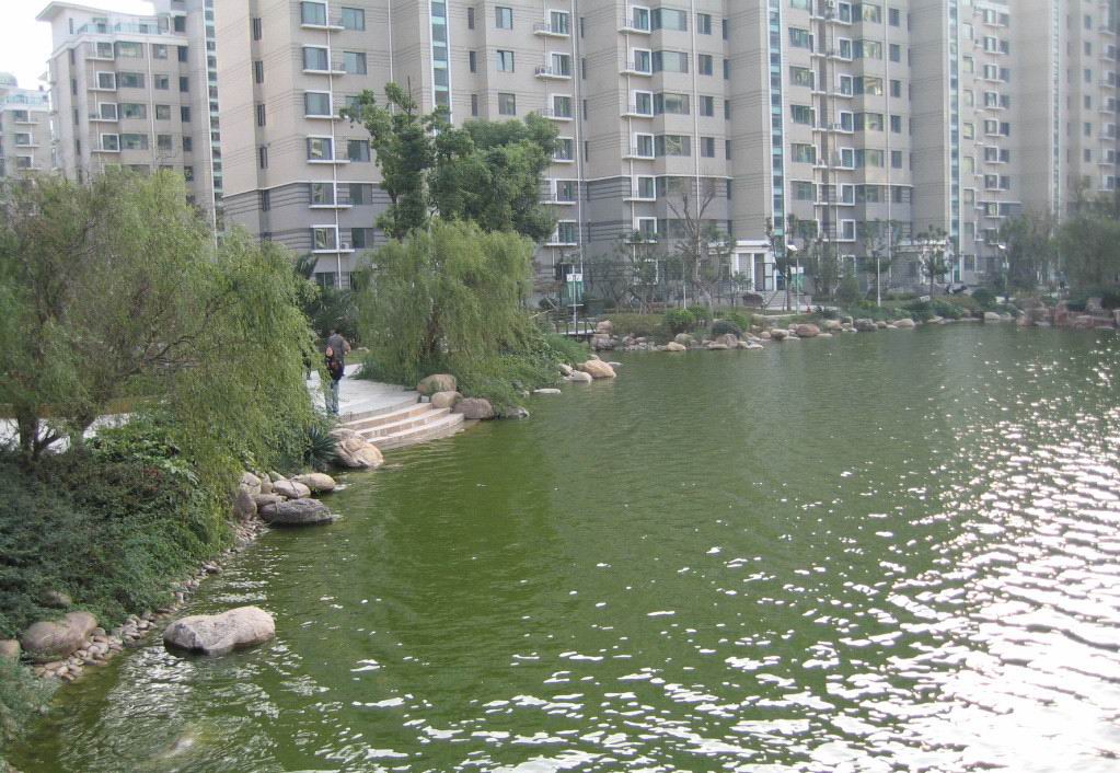 南京银城东苑景观-14