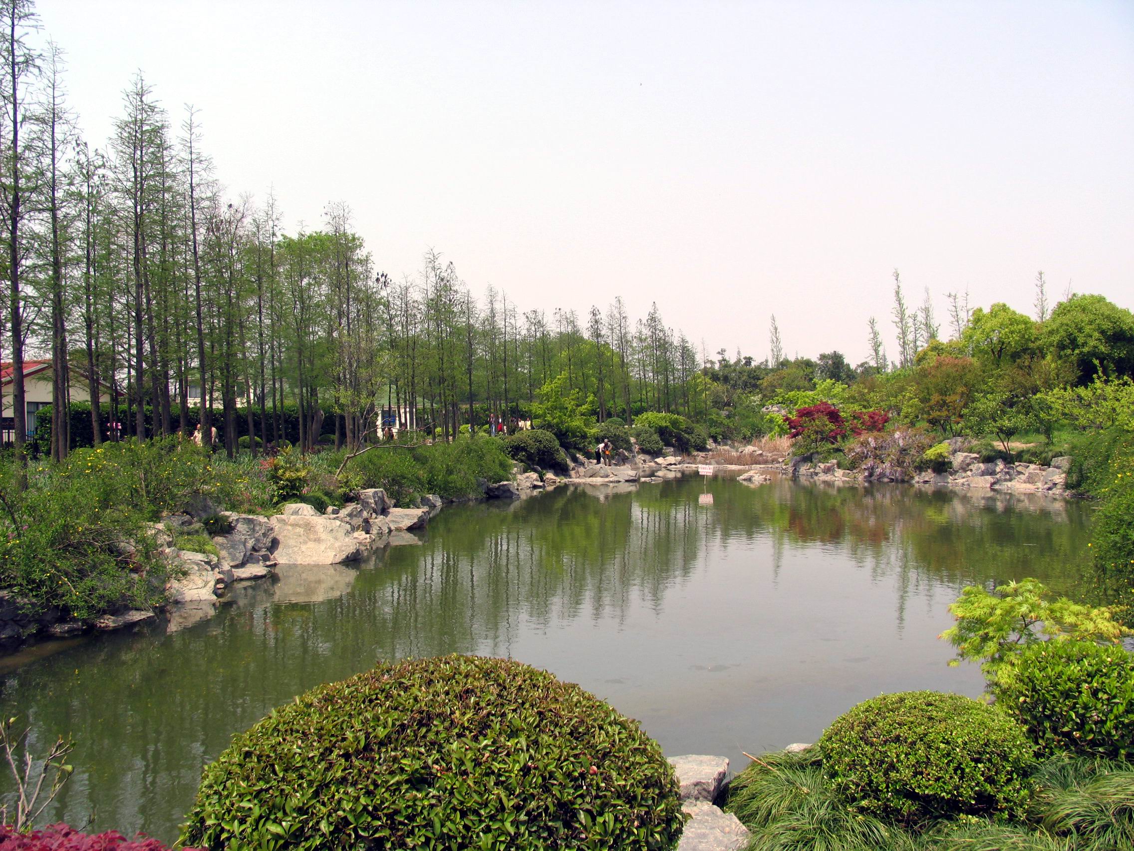 植物造景
