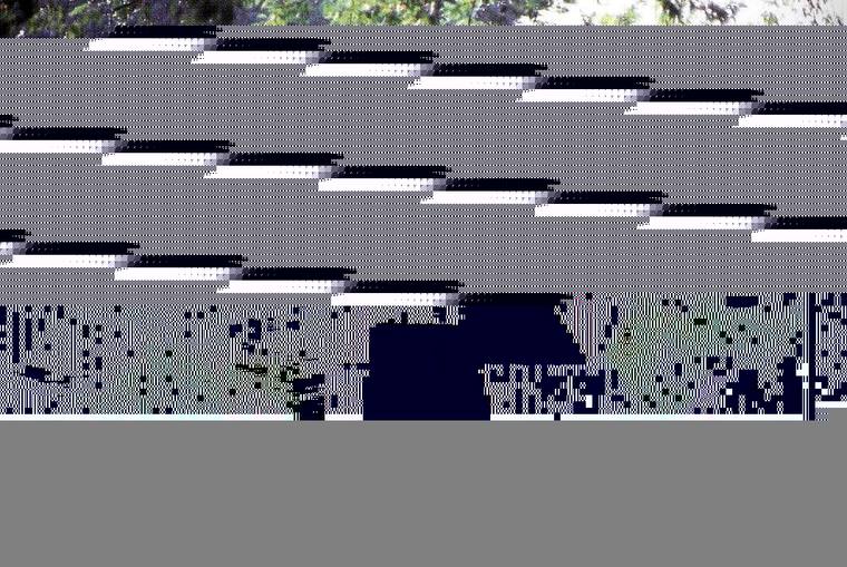 水景D