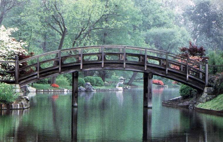 水景F