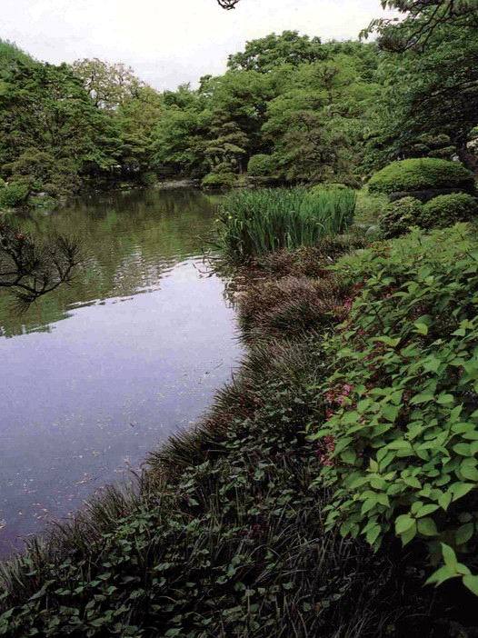 水景水岸