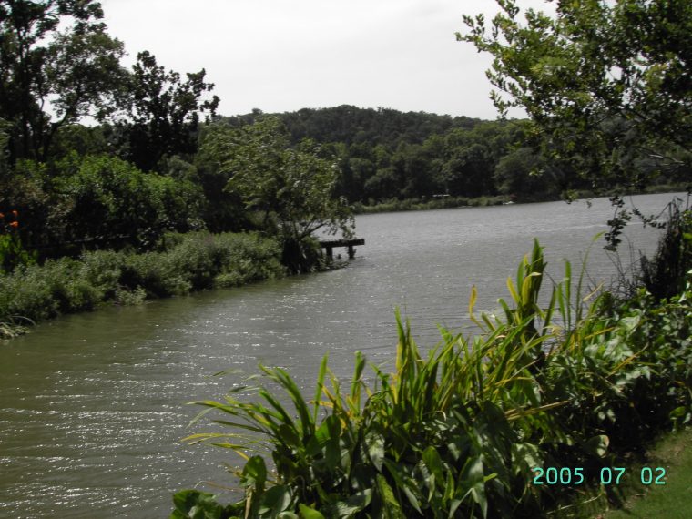 杭州西湖和西溪湿地资料下载-西溪湿地