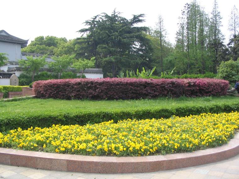 路边小景
