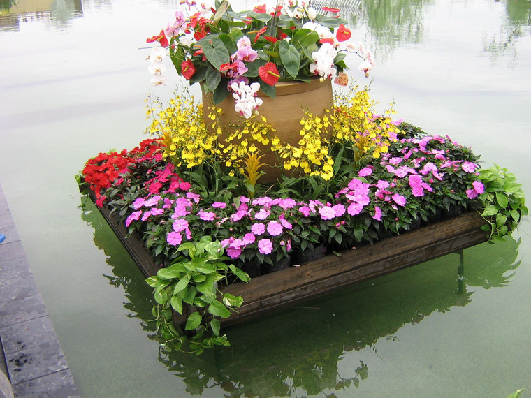 水中花坛