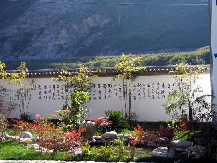 单位后院