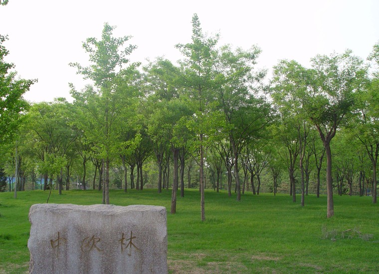 北京国际雕塑公园