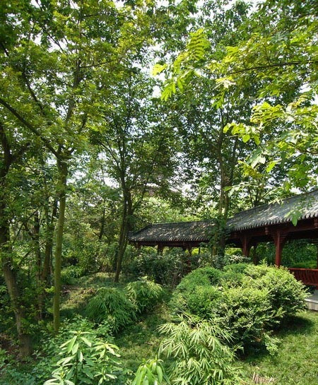 成都清水河公园001