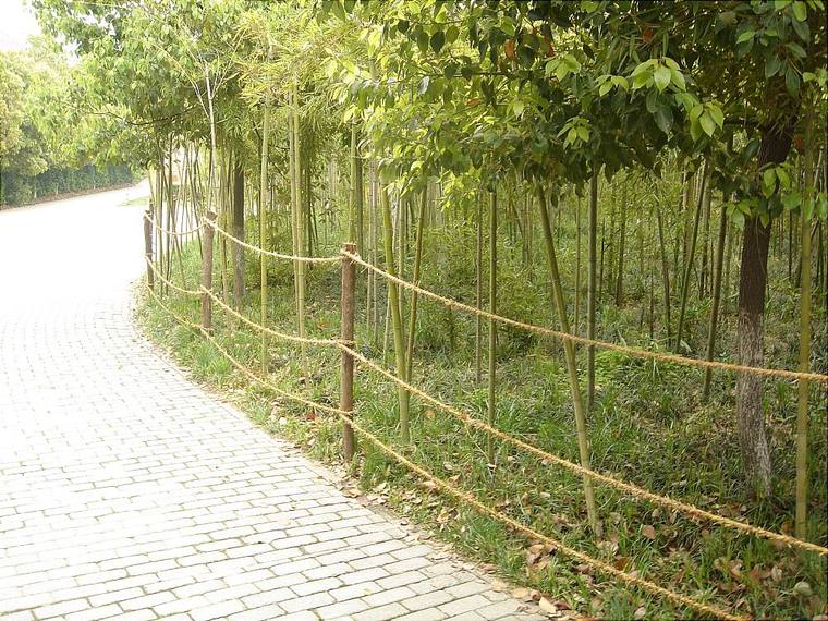 道路边绿化
