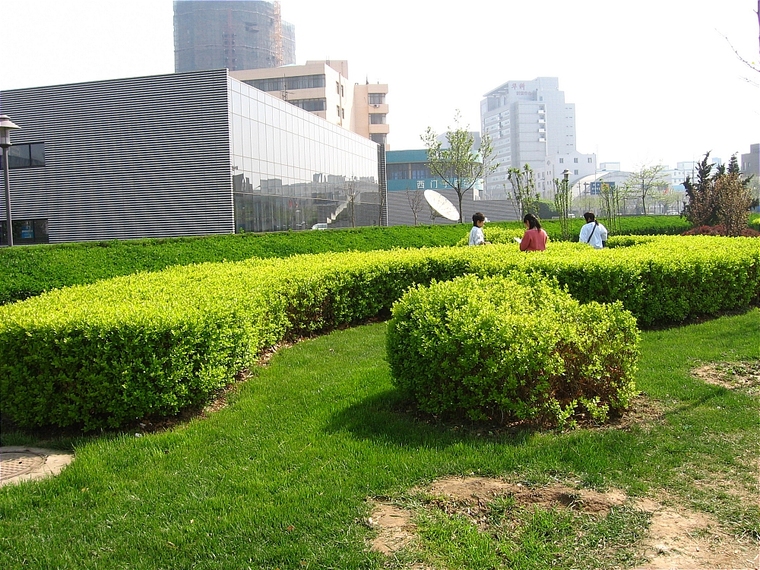辽阳道路绿化景观设计案例资料下载-道路绿化003