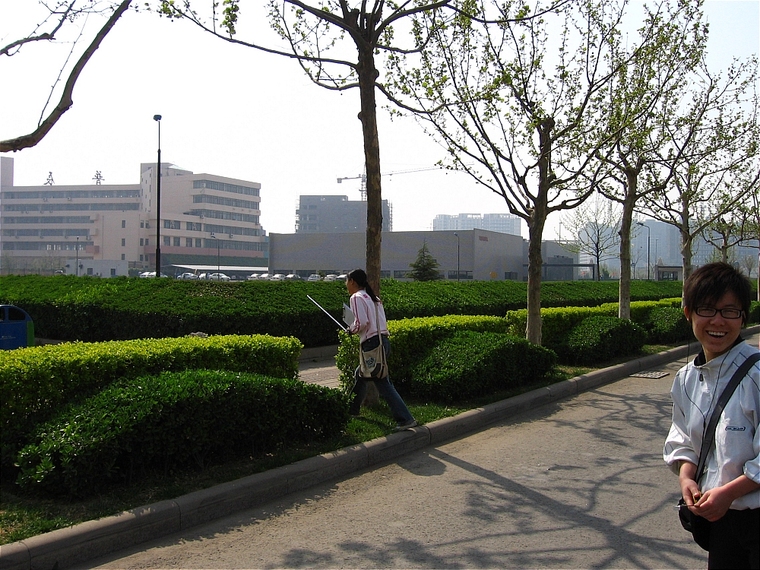 辽阳道路绿化景观设计案例资料下载-道路绿化004