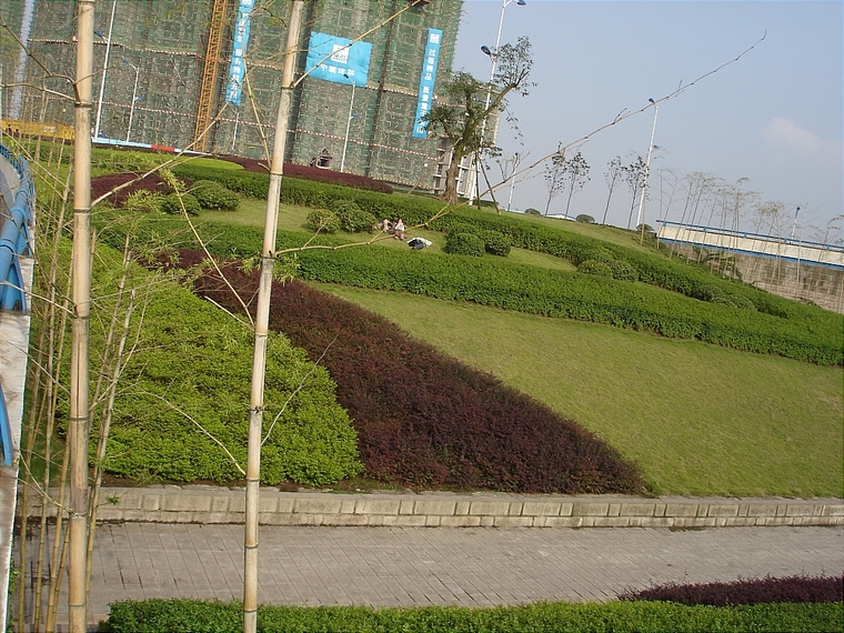 辽阳道路绿化景观设计案例资料下载-道路绿化005