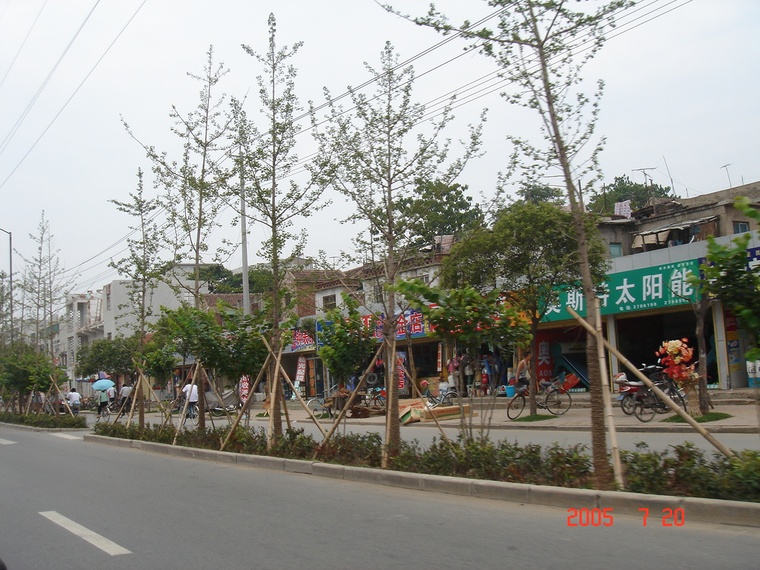 辽阳道路绿化景观设计案例资料下载-道路绿化010