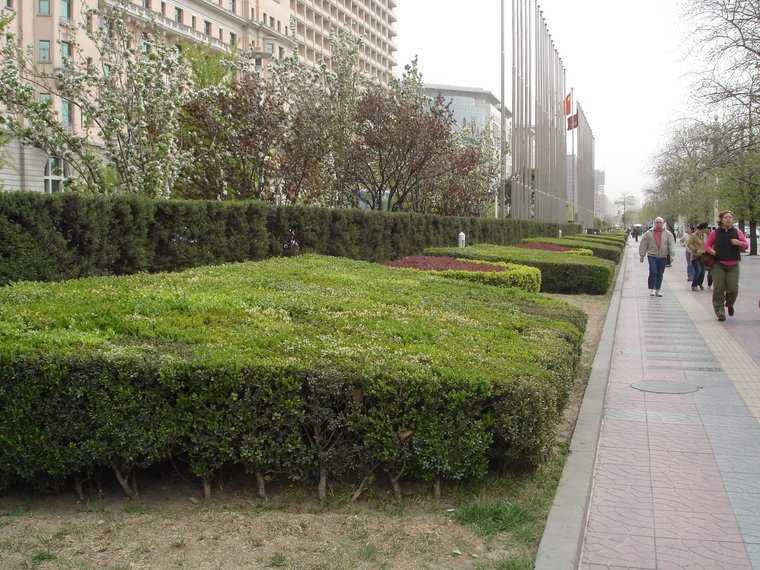 濮阳风光