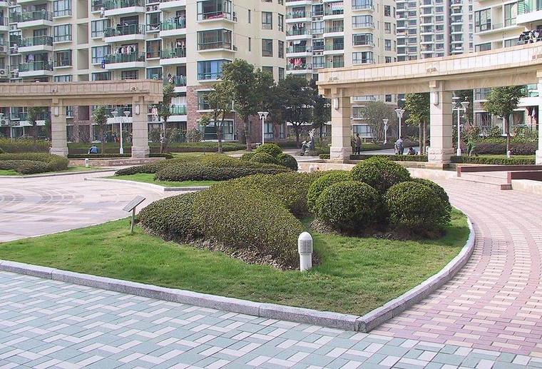 小区绿化