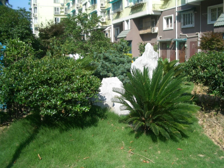 小区绿化001