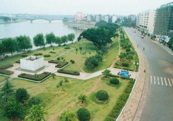 沿江景观绿化