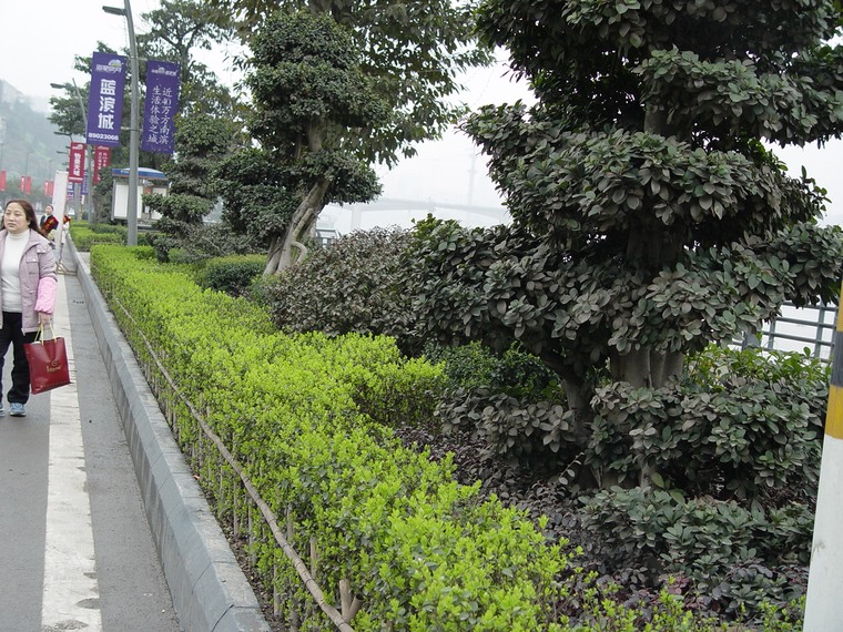 重庆南滨公园010