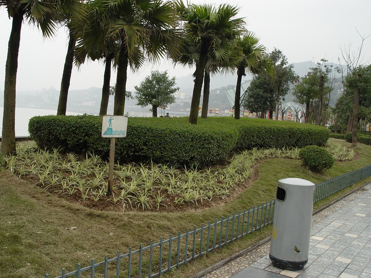 重庆南滨公园014