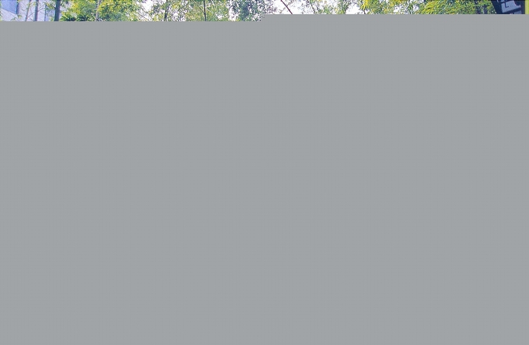 绿化配置01