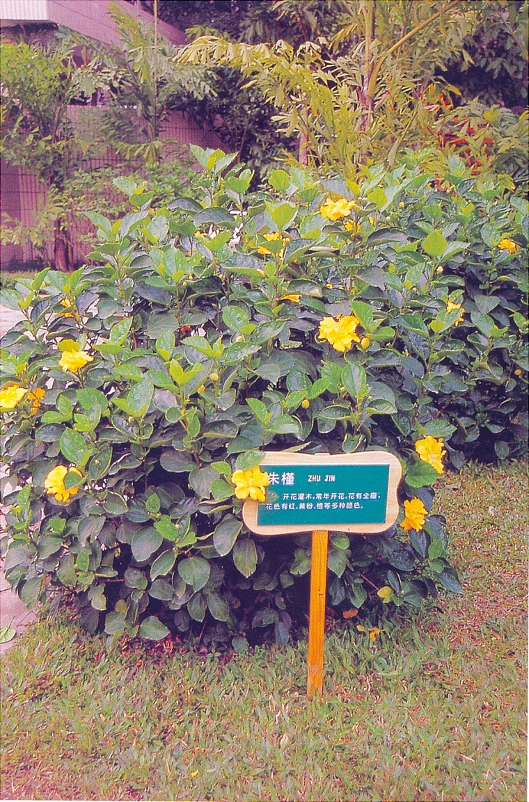 指示牌23