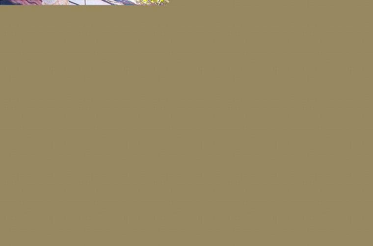 园林公建22
