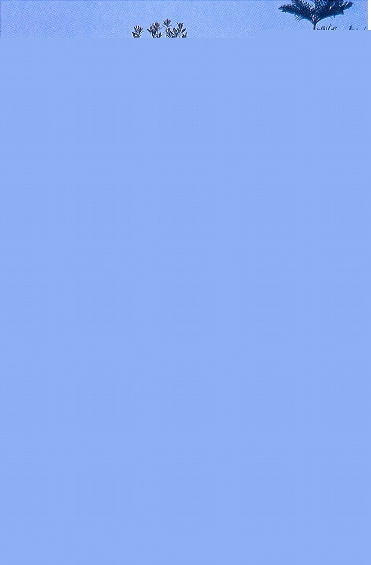 置石094