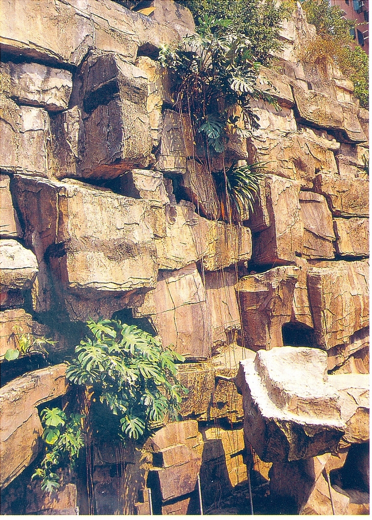假山22