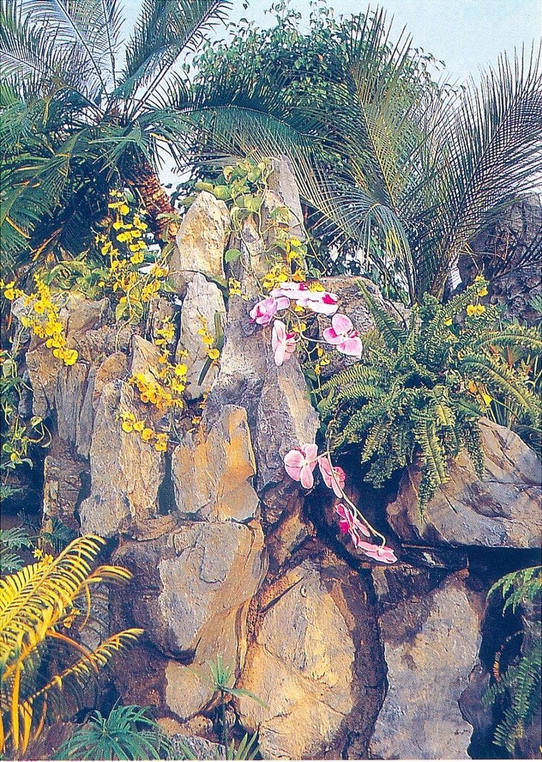 假山23