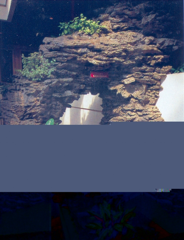假山42