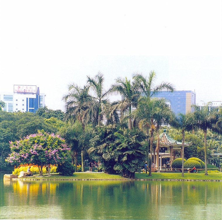 水池001