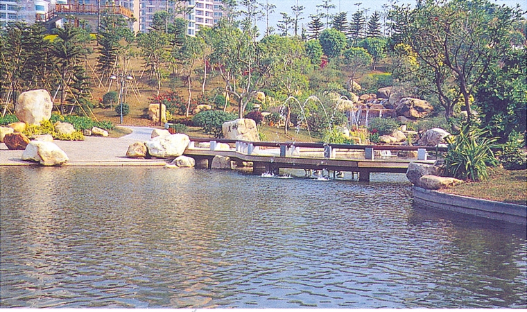 水池015