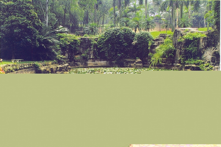 水池022
