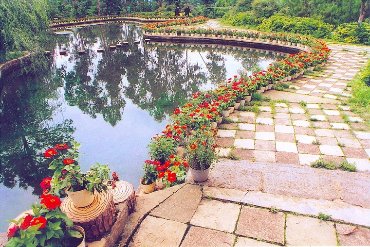 水池026