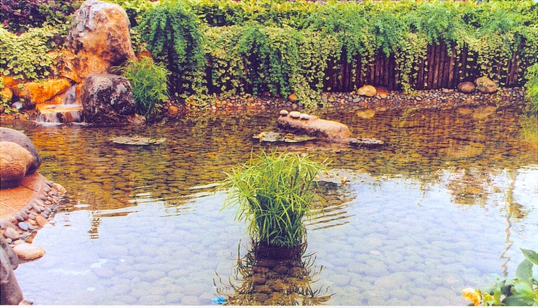 水池028