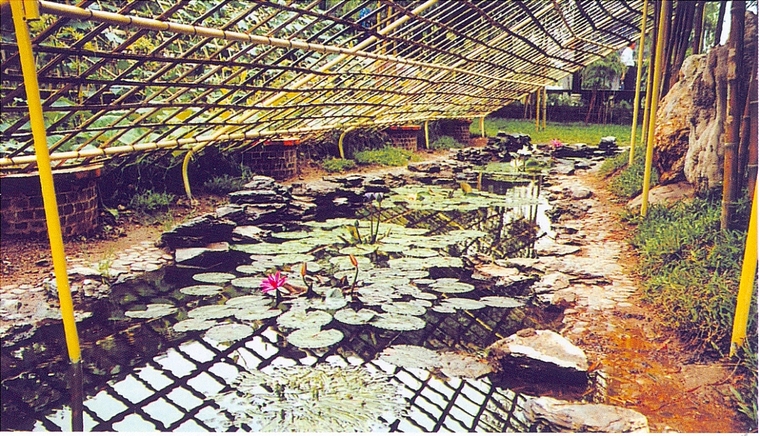 水池029