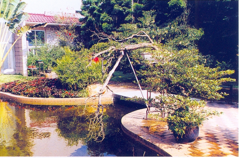 水池036