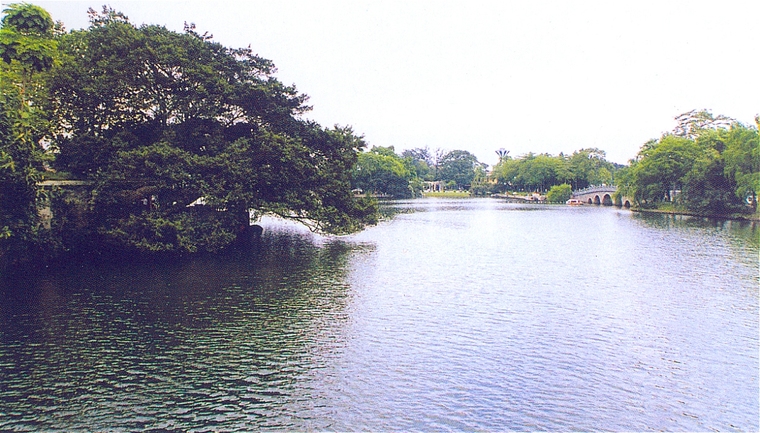 水池040